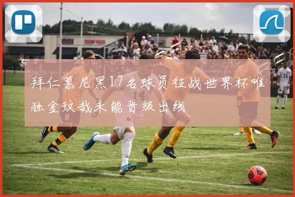 拜仁慕尼黑17名球员征战世界杯唯独金玟哉未能晋级出线
